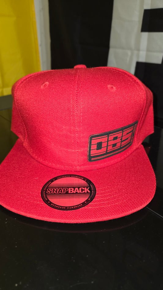 Flatbill snap backs